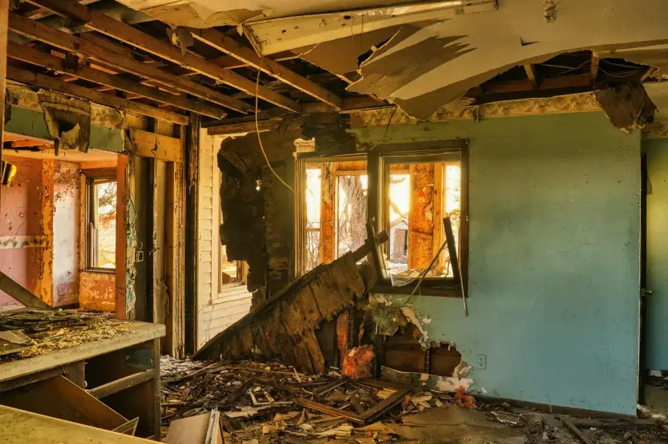 Trusted Mold Removal Specialists in Santa Clarita — Santa Clarita, CA