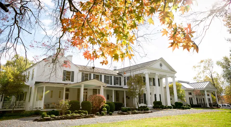 mold removal Green Valley